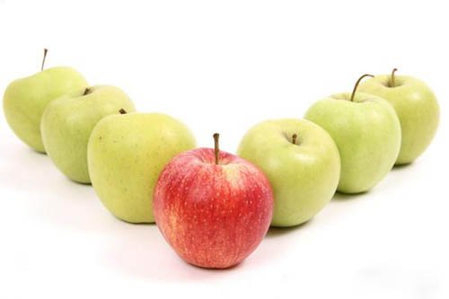 10����ʳ�����Ŷ���ο�����