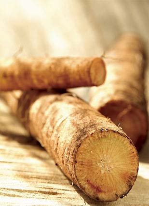 10����ʳ�����Ŷ���ο�����