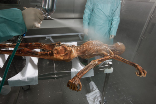 ����5300������ر���ľ����ʲô����