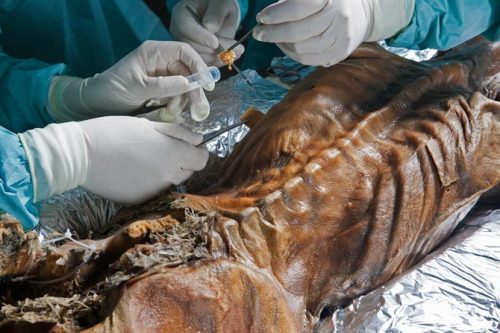 ����5300������ر���ľ����ʲô����