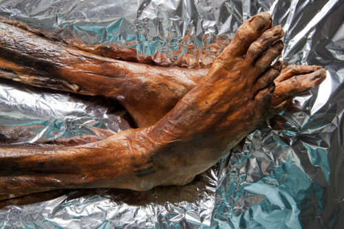 ����5300������ر���ľ����ʲô����