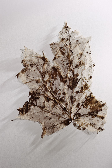 ����5300������ر���ľ����ʲô����