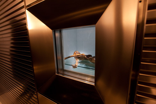 ����5300������ر���ľ����ʲô����