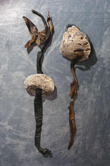 ����5300������ر���ľ����ʲô����