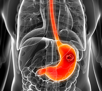 ������&mdash;&mdash;�ִ��˵ĳ���������ʿ