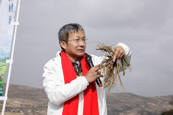 梁冬参与无限极“溯源之旅” 探寻“千年药乡”道地奥秘