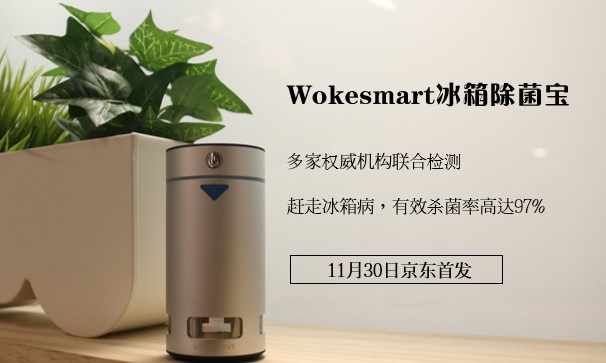 wokesmart冰箱宝 背奶妈妈必备神器