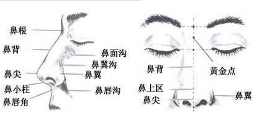 什么鼻子才好看?紫洁教你不开刀拥有漂亮鼻子