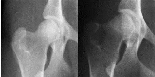 ����ʱ��㶨�ؽ���ʹ���������� ����ר���������Ǿ�����������