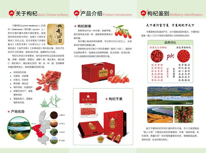 厉害了 我的枸杞——滋肝补肾养颜 还成了国际新宠