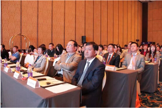 荷兰代表团抵川,国际医疗合作再启新征程