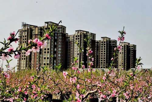 香河大爱城丨大爱美好社区:走过四季,钟爱阳春